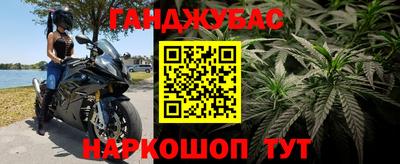 хмурый Малгобек