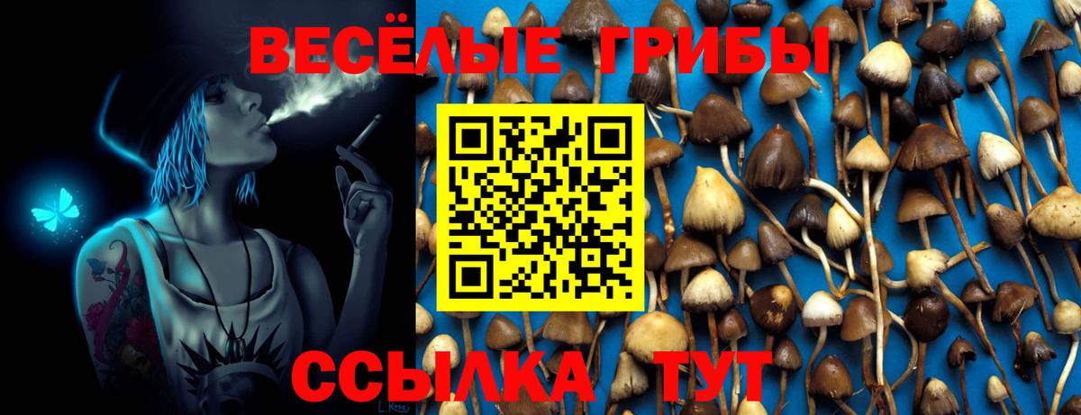 Псилоцибиновые грибы ЛСД Домодедово
